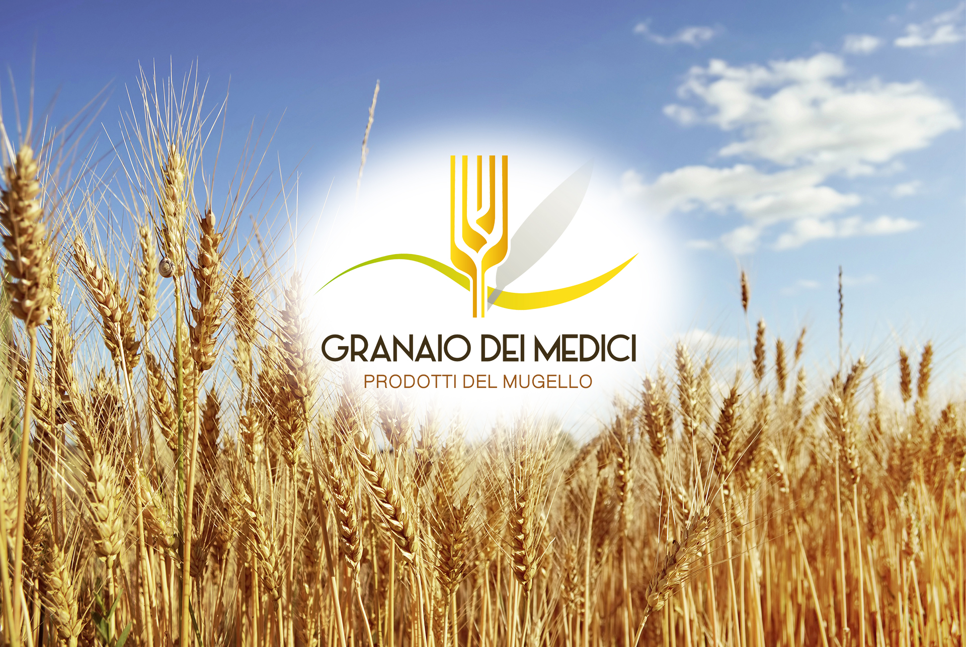 Header_granaiodeimedici